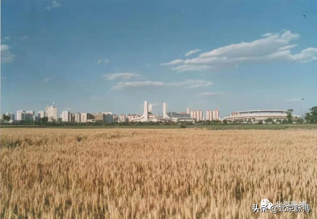 记忆中的北京绘画,这些画最能还原真实的老北京