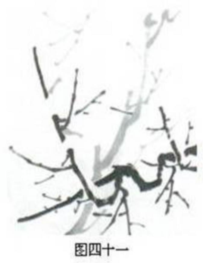 梅花画法简笔画,梅花画法的视频