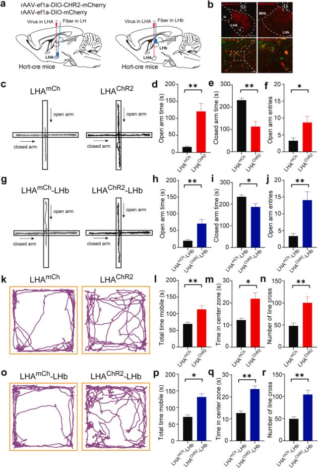 西京医院抑郁,应激引起的焦虑障碍如何干预