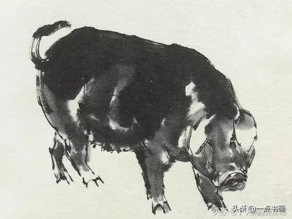 简单猪画画教学,国画写意猪图大全
