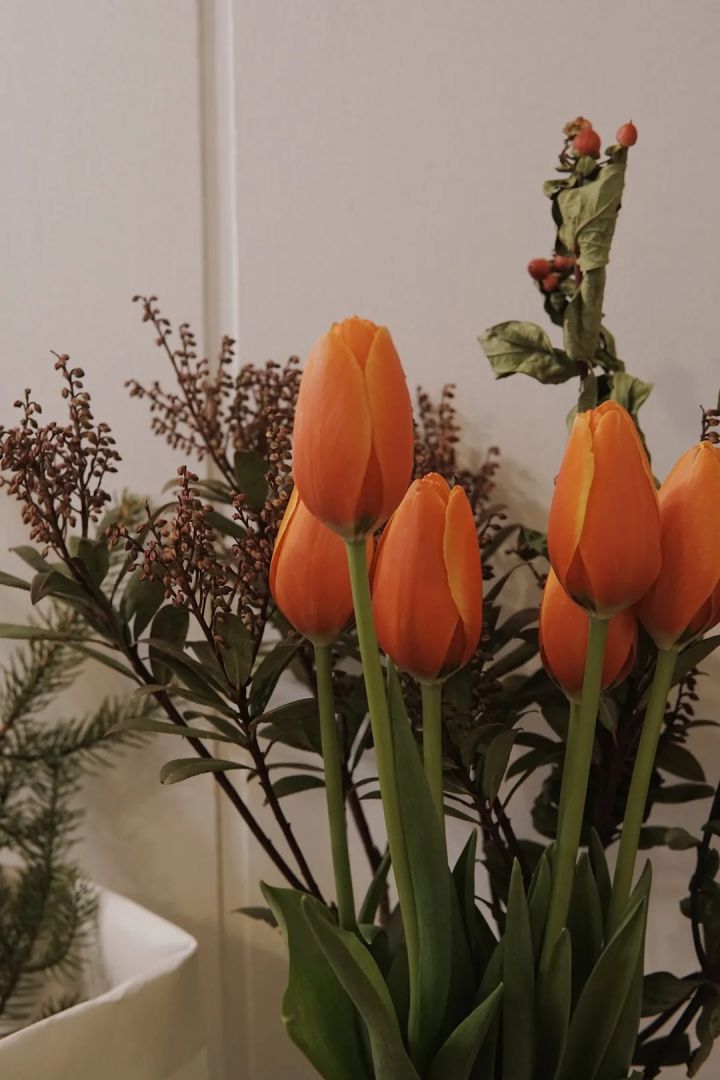 植物护肤的意义与价值,植物护肤品有什么用途