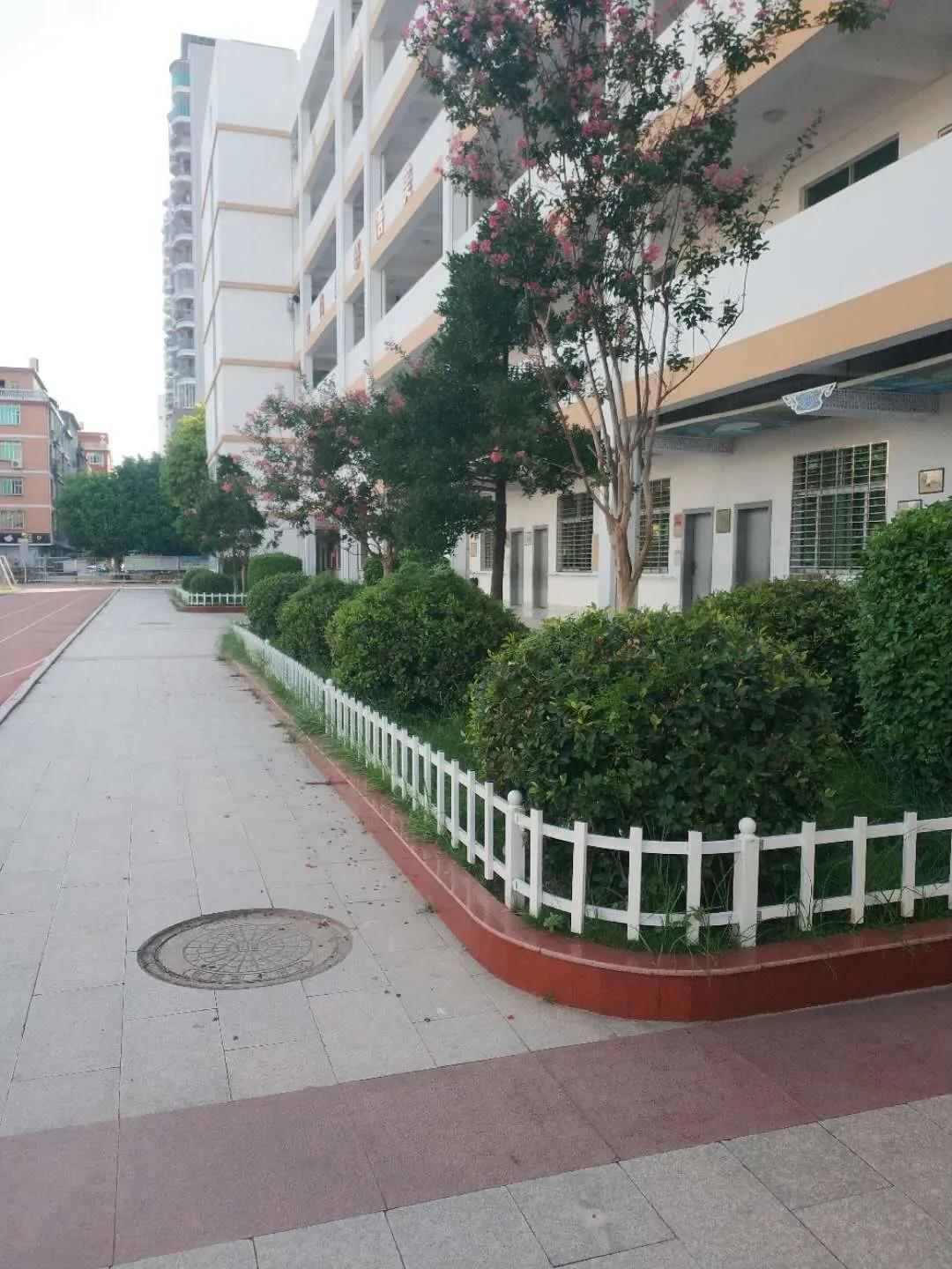 永春县桃溪实验小学三年七班,永春县桃溪实验小学