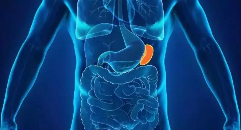 新郎亲吻新娘致死新闻,新郎亲吻新娘导致死亡