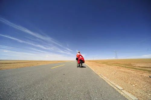 庸常众多，先行孤独，——评2020年浙江满分作文《生活在树上》