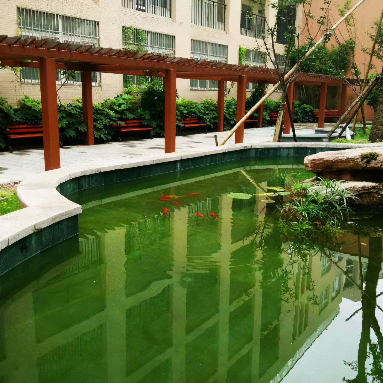 合肥望湖四十八中学校长,合肥汪蓉校长简介