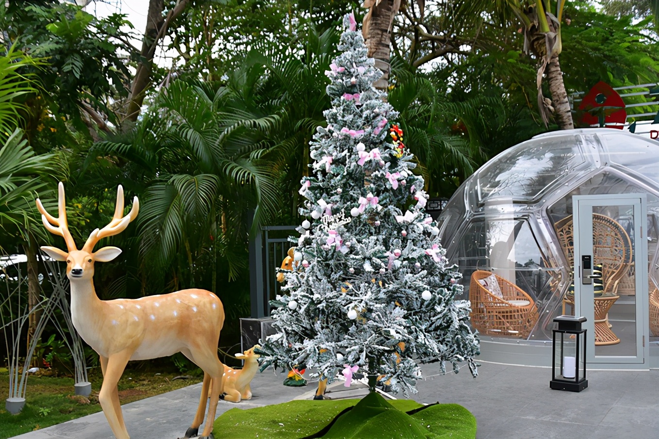 来三亚必吃的海南菜,三亚旅游在哪里吃海南菜