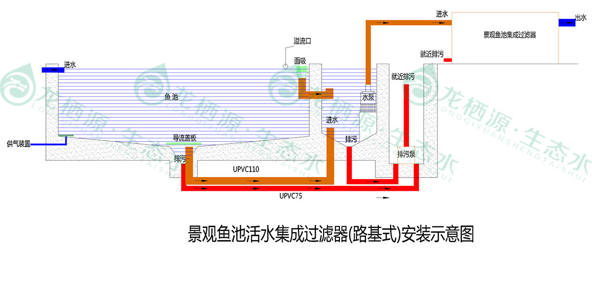 锦鲤鱼池过滤系统的施工过程,锦鲤鱼池过滤系统建造与改造