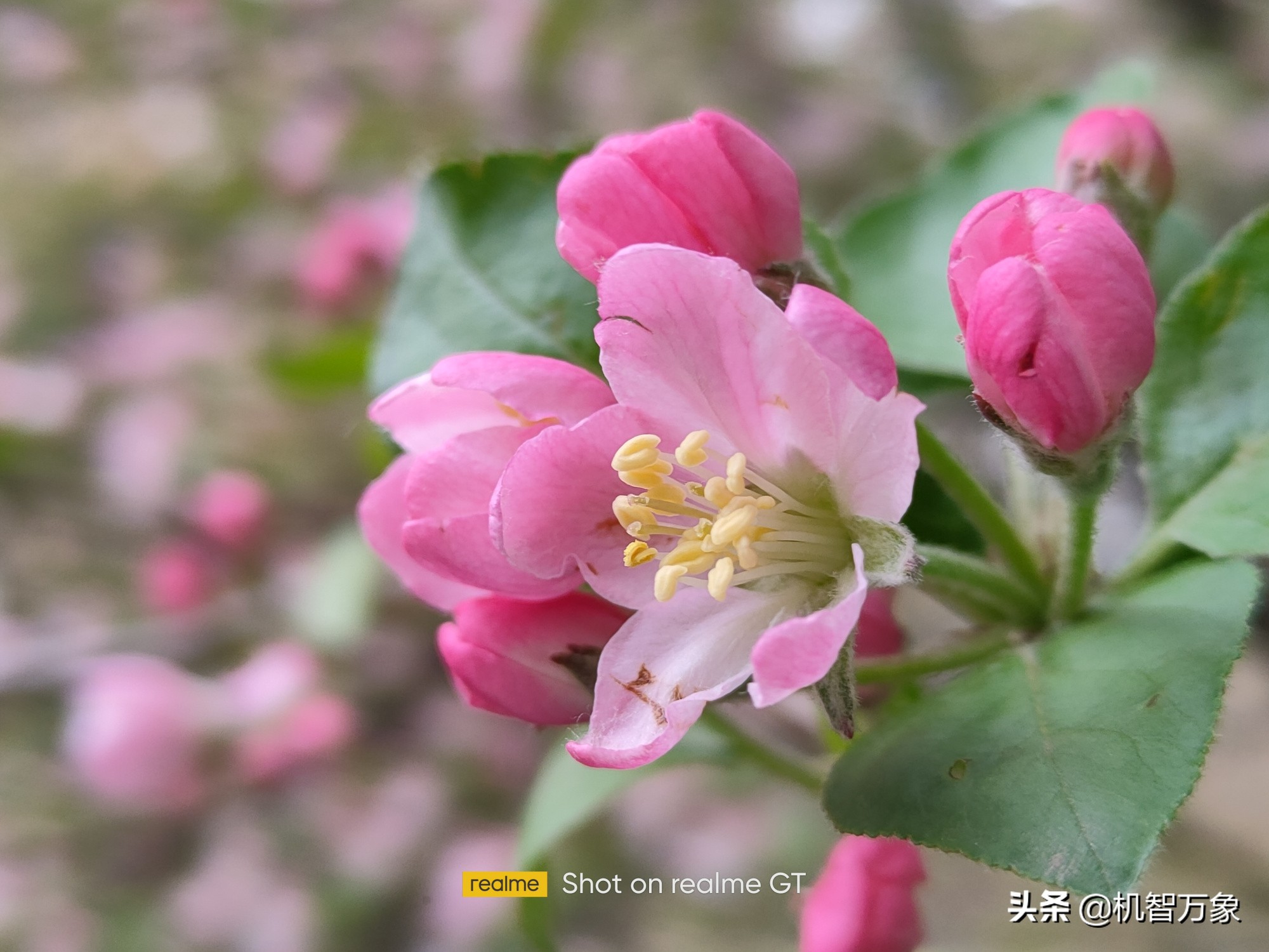 realme真我gt深度评测优缺点,realme真我GT测评