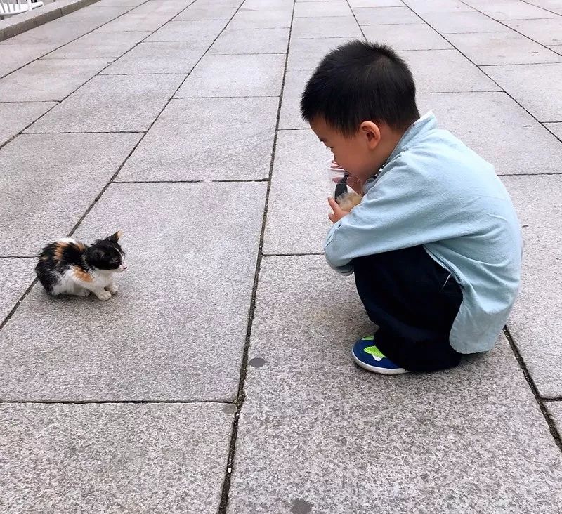 带娃广州长隆2天1夜旅游攻略,带娃自由行长隆旅游攻略