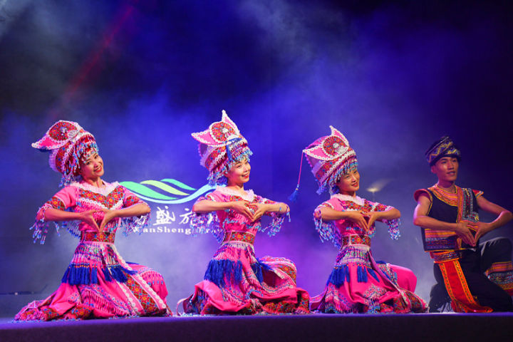 黑山谷采摘刺竹笋,高山野笋采摘