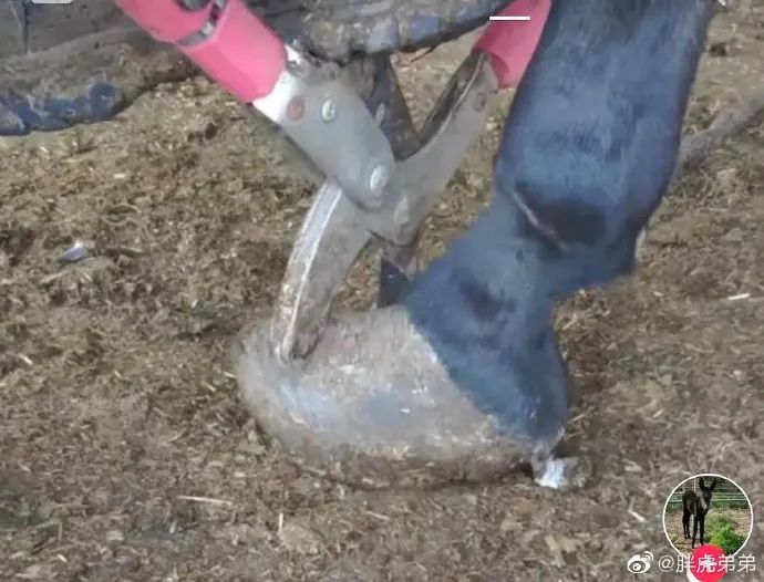 来自外卖小哥的霸道段子,关于外卖小哥的挺火的段子