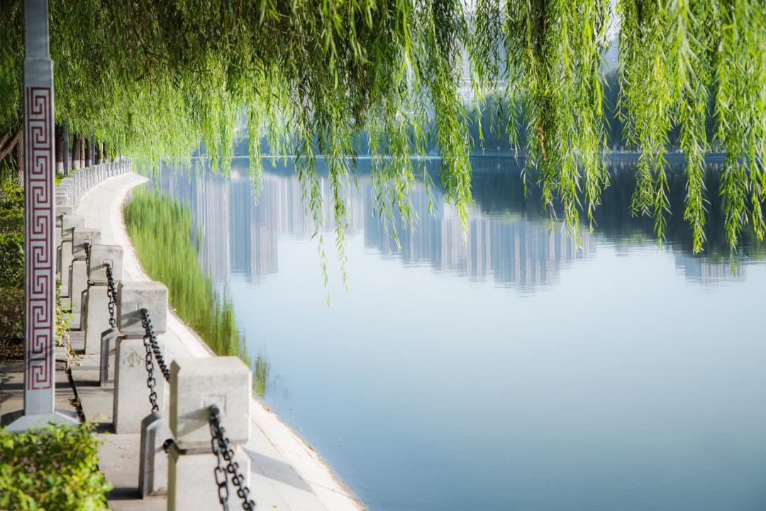 郑州大正水晶森林详情,大正水晶森林二期和一期哪个好