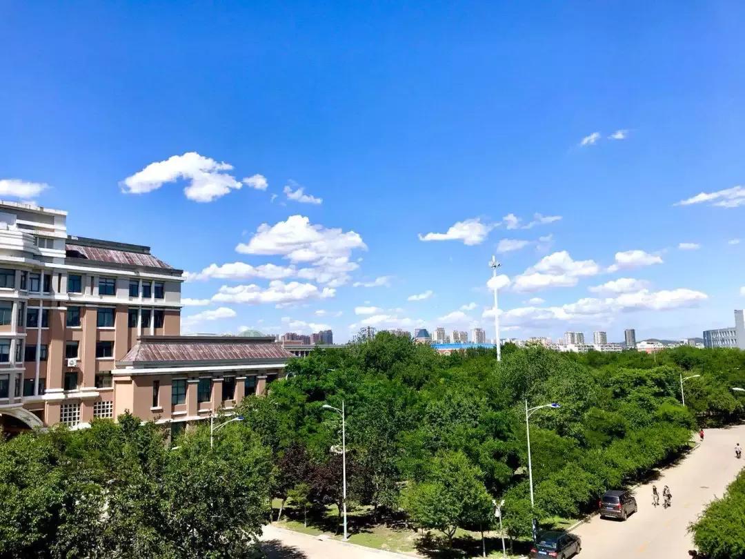 辽宁省民办大学,辽宁理工学院是民办吗