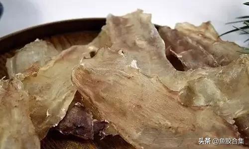 花胶的种类和区别,花胶一共有几种类型的品种