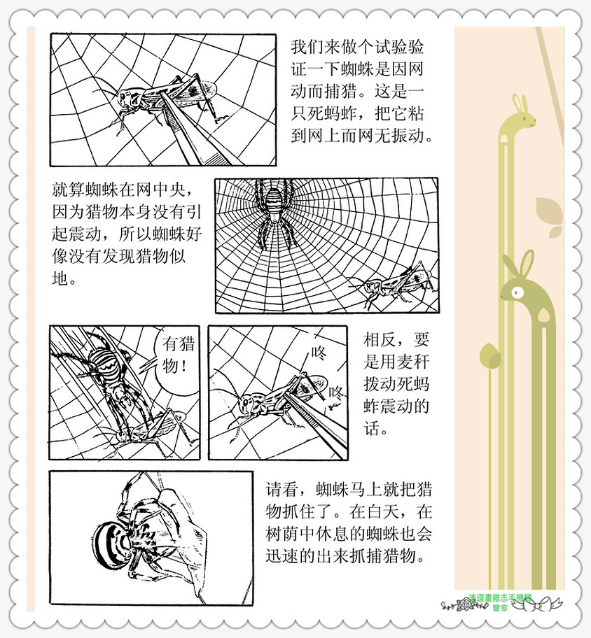 昆虫记法布尔正版全集,昆虫记法布尔阅读答案
