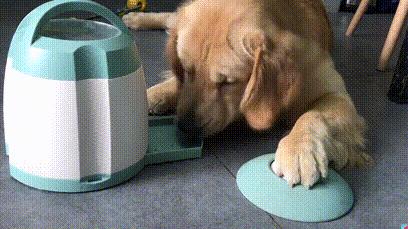 养小狗的省钱好物推荐,狗狗必买好物推荐