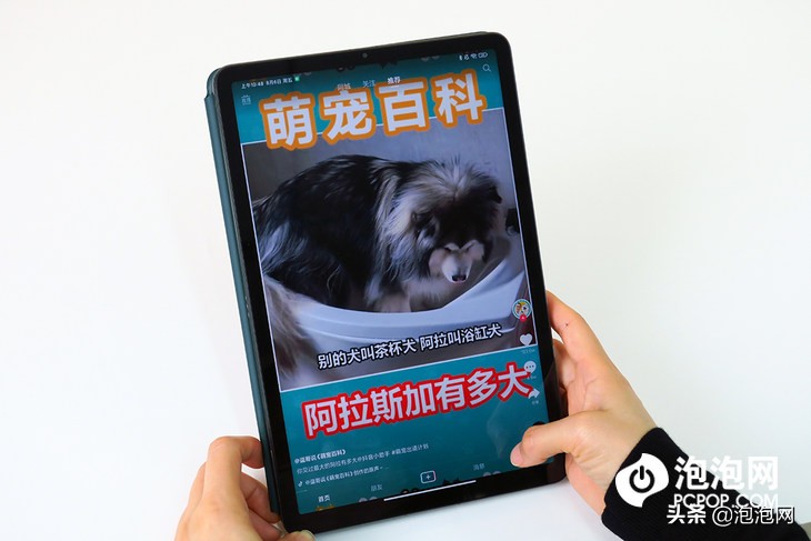 娱乐办公用的平板推荐,小米平板5pro刷win10系统