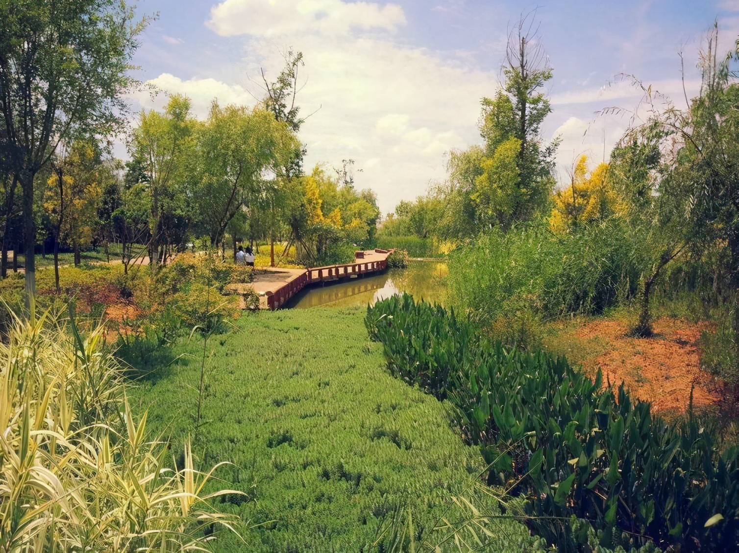 昆明周边美食一日游自驾游,昆明周边自驾游露营视频