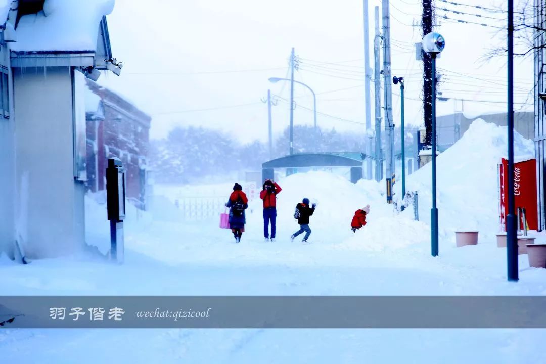 日本10天自由行费用北海道,东京北海道5日自由行攻略