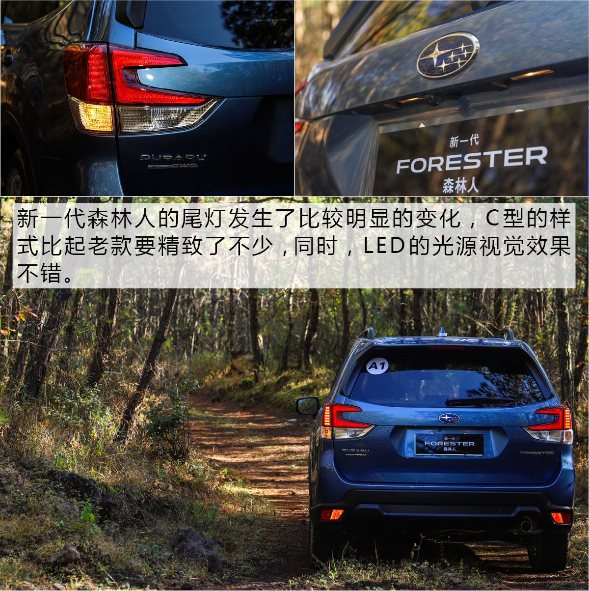 最新款斯巴鲁森林人最新试驾视频,斯巴鲁森林人2023款操控性