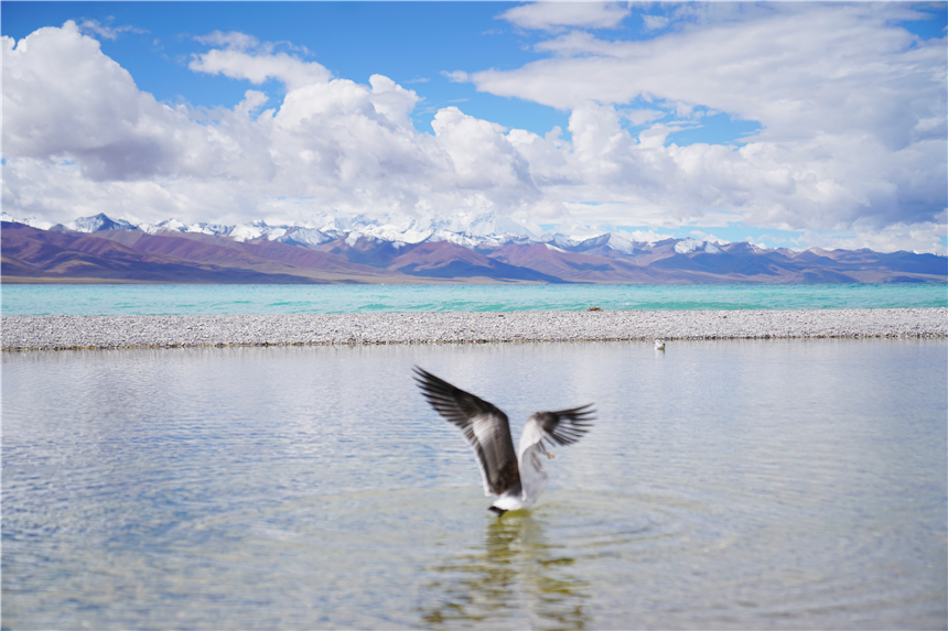 西藏秘境旅游,西藏秘境视频大全