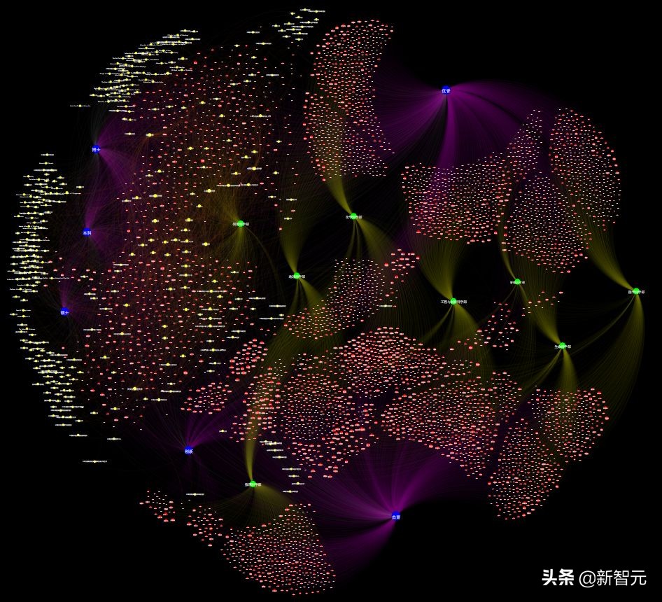 人才画像深度剖析,人才画像深度解析