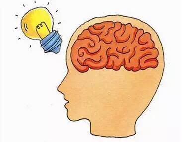 七种让胎儿大脑更聪明食物,帮助胎儿大脑发育的是什么