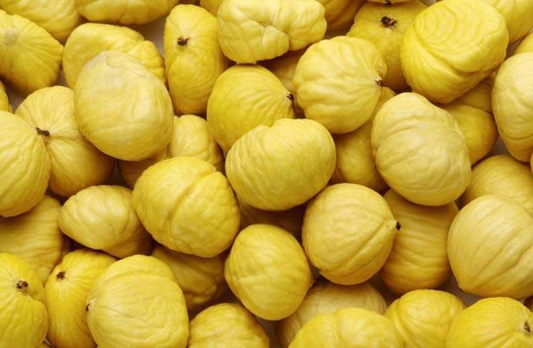 100万斤板栗滞销,板栗卖不动有什么好办法