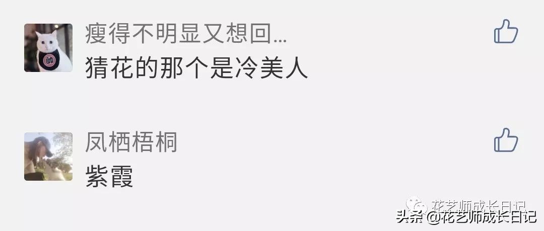 送给妈妈的手工花康乃馨,母亲节送妈妈什么颜色康乃馨