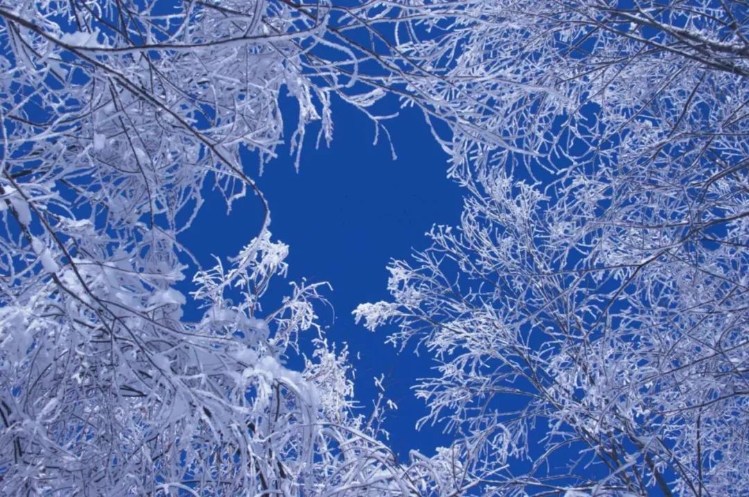 看一眼纯纯的凤县蓝，这就是我爱上凤县冬日的理由