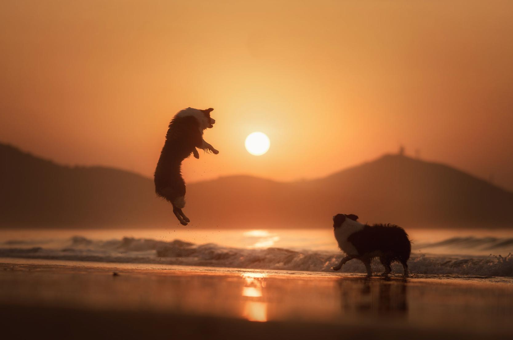 提高审美｜推荐10大中外人像摄影大神