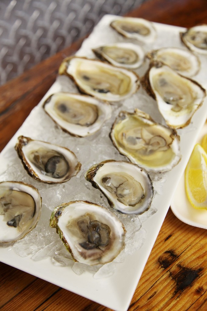 「怀念系列」加拿大（5）｜品尝奥巴马同款枫叶糖