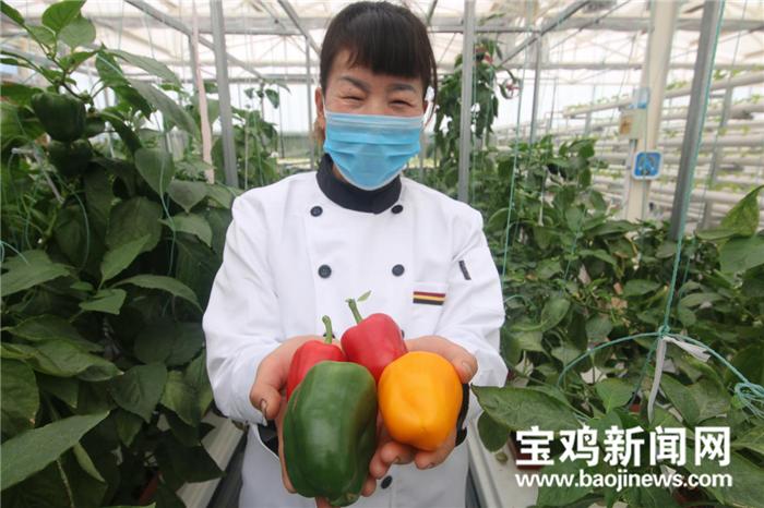 宝鸡新闻网带你去体验拥有世界最大标准间的酒店