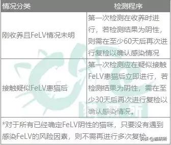 猫白血病病毒（FeLV）感染≠猫白血病≠安乐死