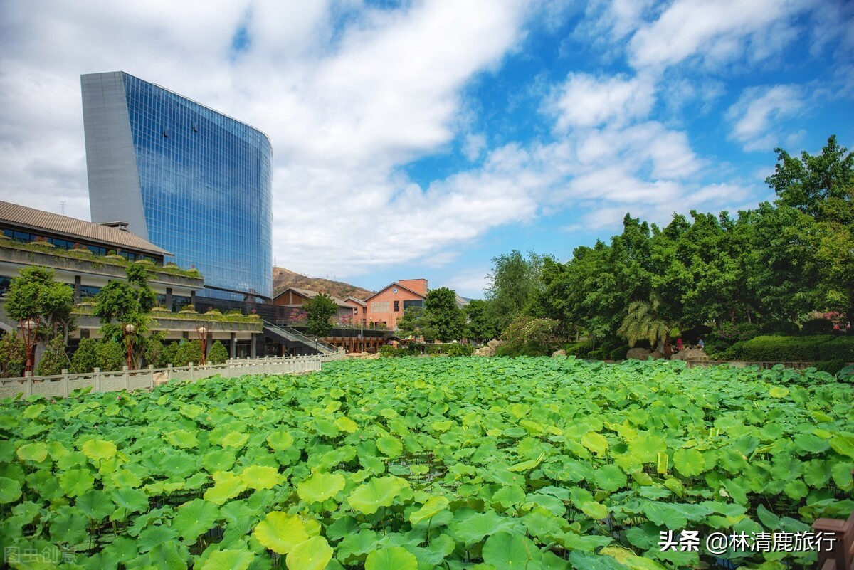 攀枝花旅游养老攻略,攀枝花养老旅游居住