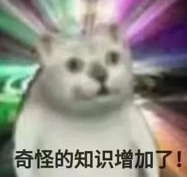 那些“奇葩歌名”歌单，让我认清了自己不会起标题的现实...