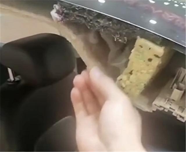 换代帕萨特中保研碰撞,帕萨特中保研碰撞毒辣车评