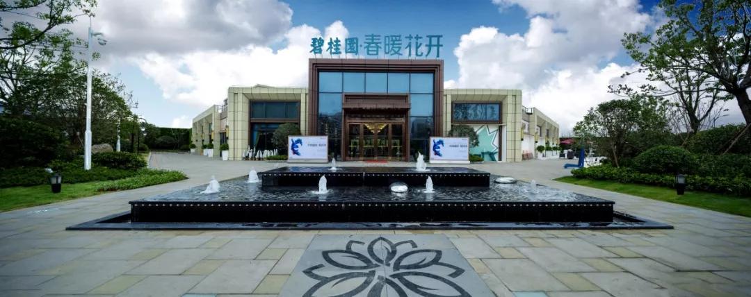 碧桂园南北通透户型讲解,碧桂园120户型分析与大师讲解