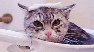 除湿气水肿喝什么汤,祛湿消水肿