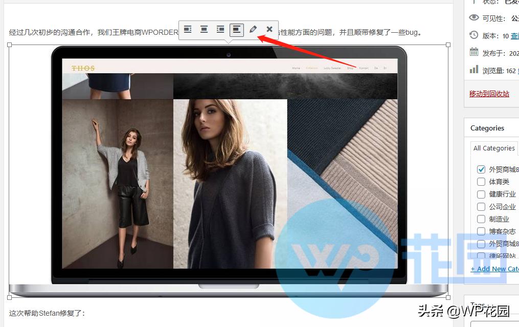 wordpress建站后怎么做引流,wordpressseo选项