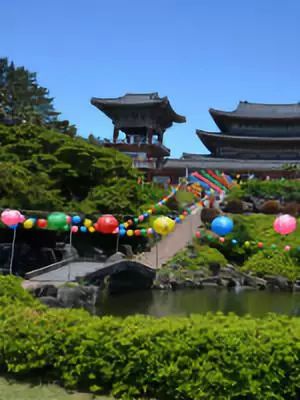 韩国旅游攻略5-6月天气,去韩国首尔旅游攻略最新版