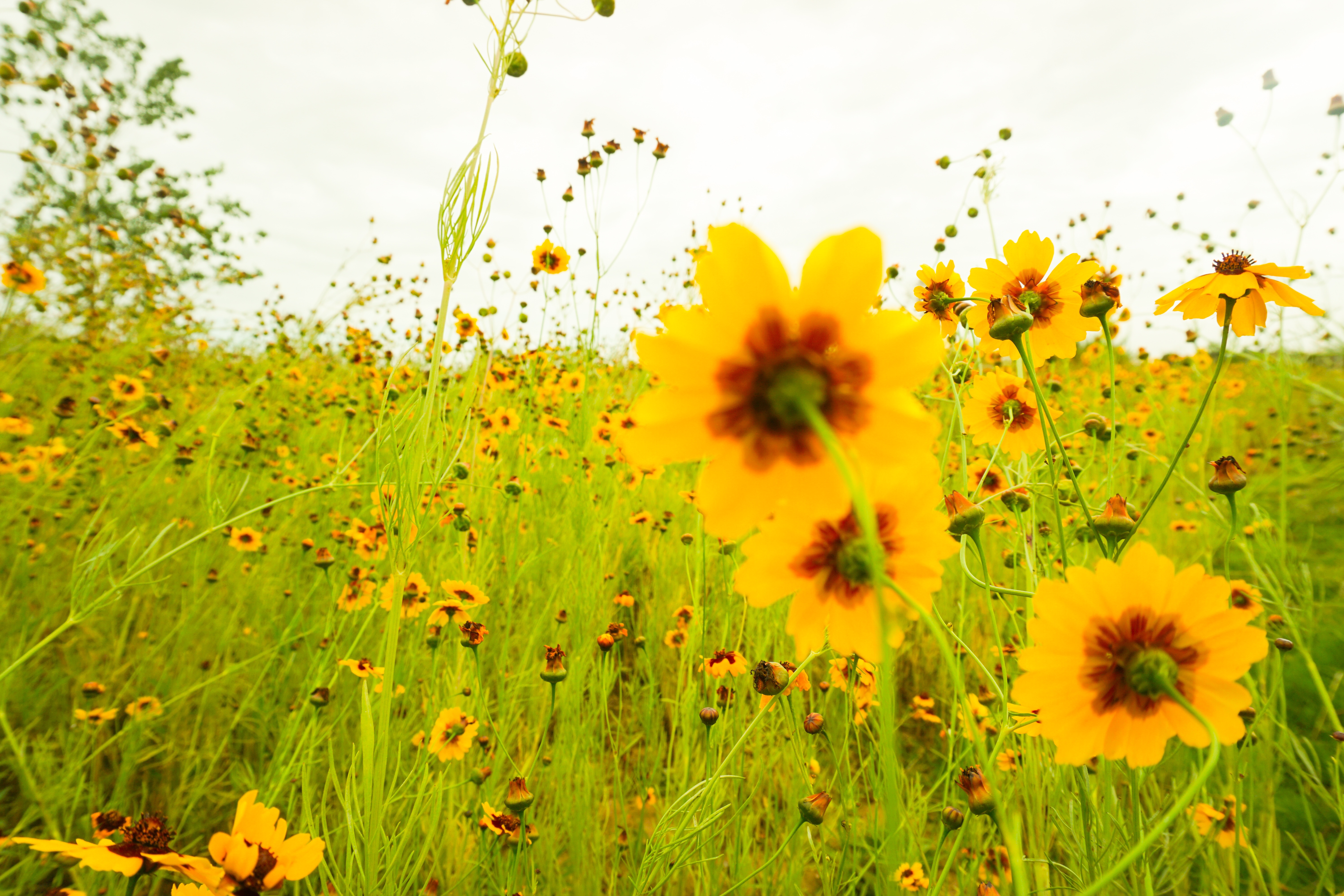 自我的女生有什么表现,有点自我的女生怎么样