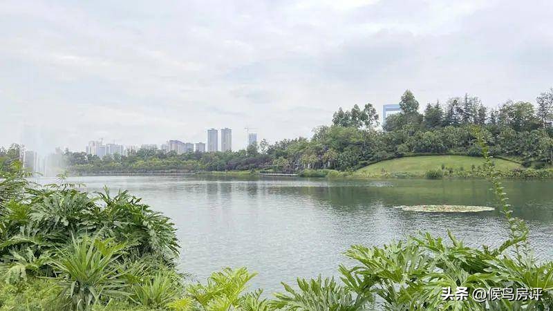 1000万可以买到什么豪车,1000万可以买到怎样的别墅