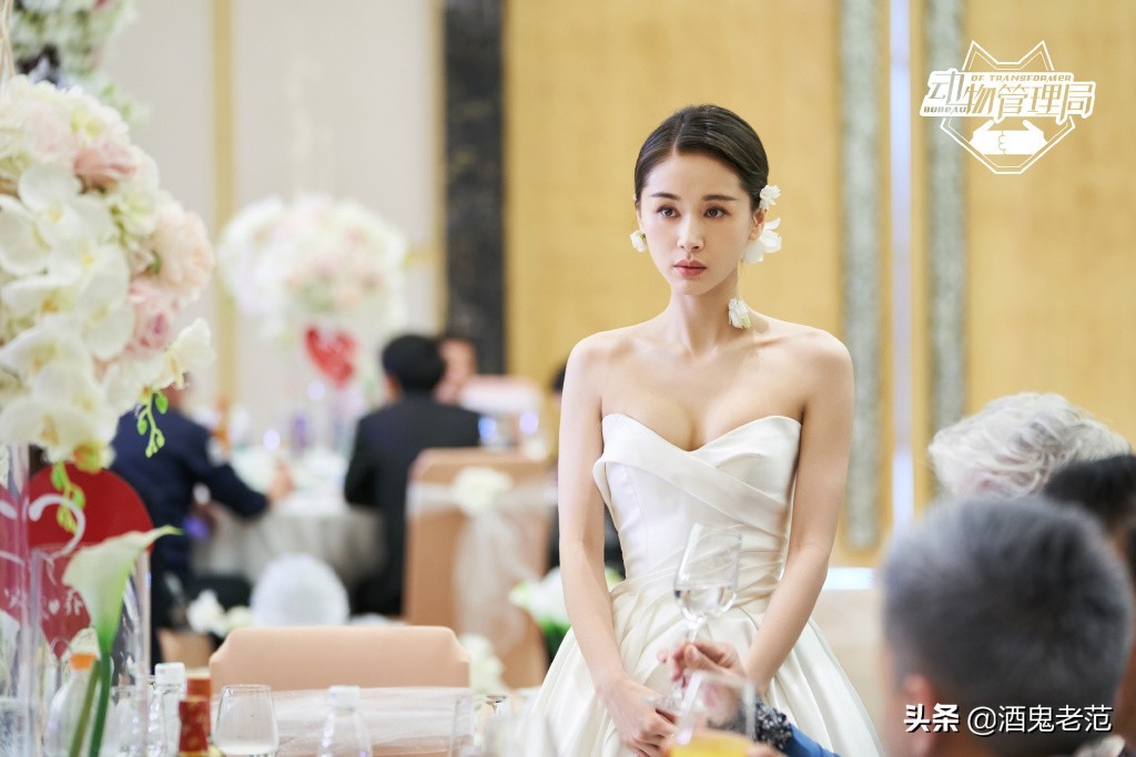 整容成小三,整容变美却嫁给丑八怪