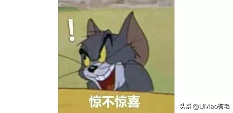 猫咪猜杯子游戏第三关,猫猜杯子游戏