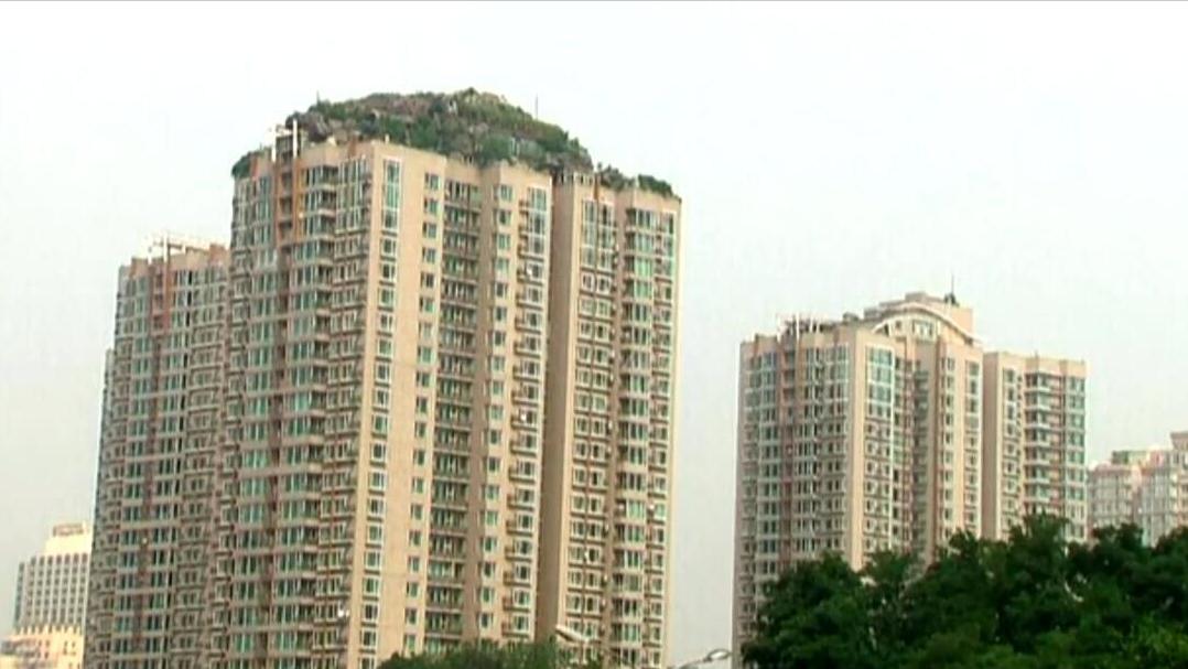 深圳闹市违建空中皇宫,深圳违建的海上皇宫新闻