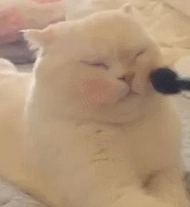 韩系ins风女生穿搭,冬季ins风穿搭女学生党