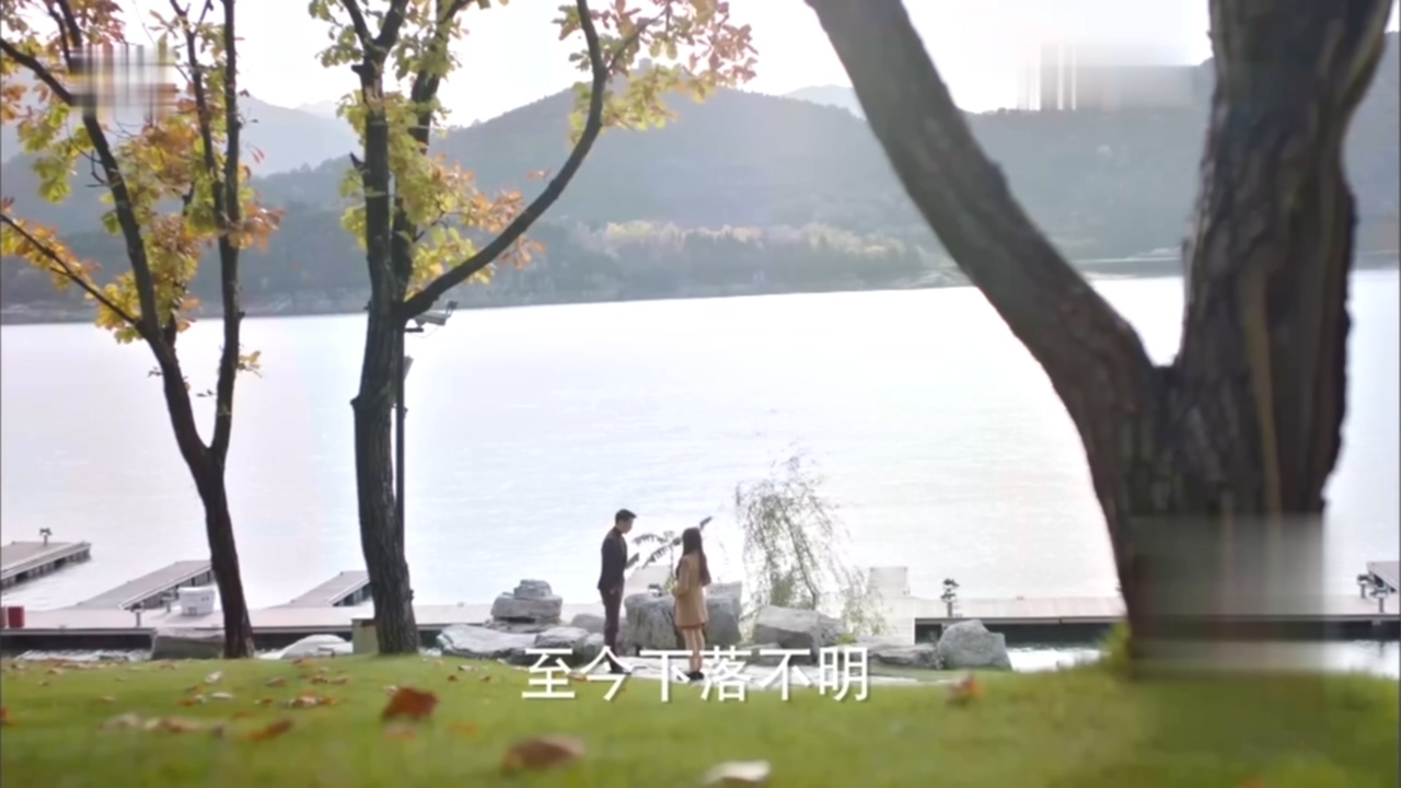 看电视学成语,看电视学习成语