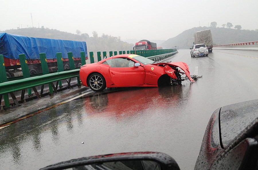 遇到动物拦车怎么办,遇到动物挡路怎么办