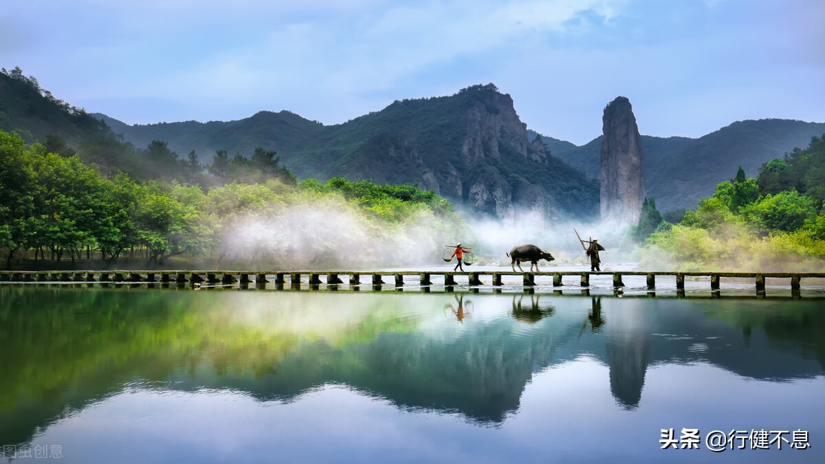 王安石最著名的十首诗赏析,精选王安石最有名的十首诗